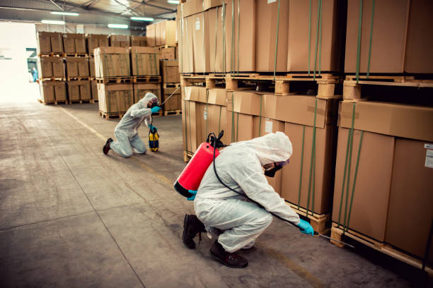 Best Termite Control Services  in Mays Landing, NJ