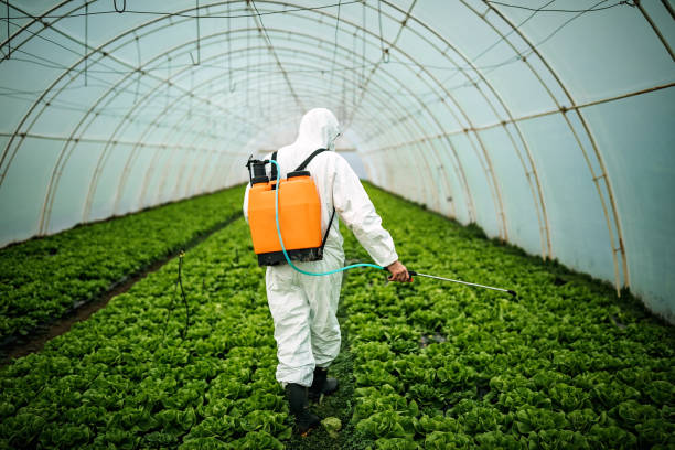Best Best Pest Control Companies  in Mays Landing, NJ