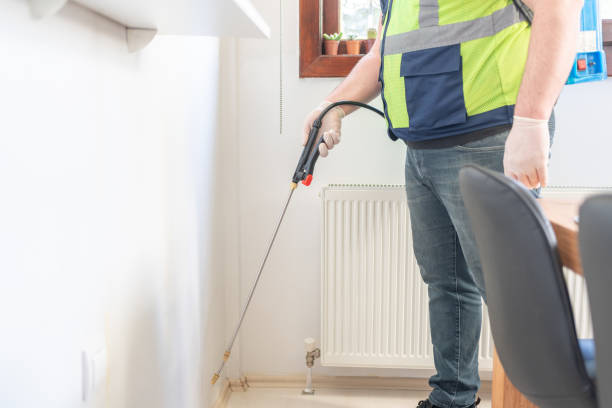 Best Local Pest Control Services  in Mays Landing, NJ